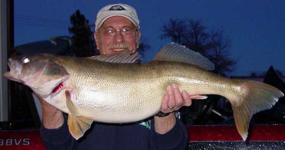 Washington Trophy Walleye